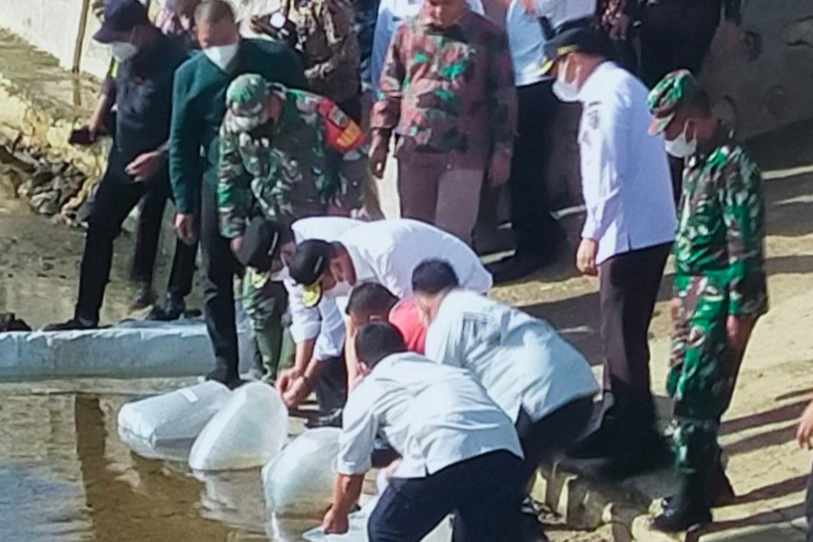 Gubri dan Wagubri Tebar 6.000 Benih Ikan Patin di Desa Cipang Kiri Hulu Rohul