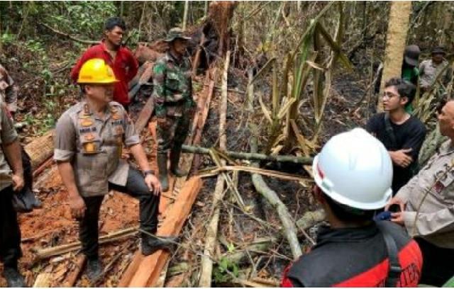 Kapolda Riau Temukan Langsung Lokasi Hutan Riau di Rusak, Ini Tindakanya