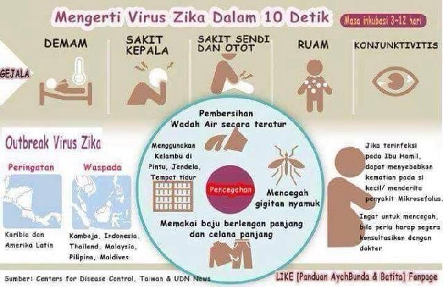 Mengenali apa itu virus Zika Sekarang Juga