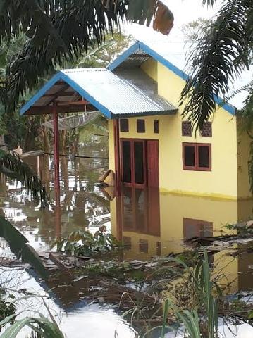 Limpahan Banjir Rendam Ribuan Rumah Di Rengat Barat