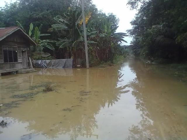 70 Rumah Warga Pasir Sialang Jaya Inhu Terendam Banjir  Belum Mendapatkan Bantuan