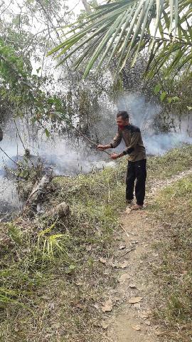 Lahan Warga Di Kelayang 10 Hektar Terbakar