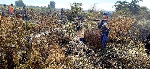 Lahan Seluas 8 Hektare Terbakar di Rangsang, Polisi Lidik Pelaku Pembakaran