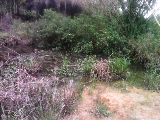 Kisruh limbah di Desa Gudang Batu Inhu