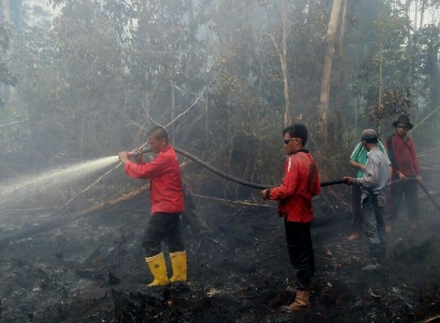 Tim Gabungan Berjibaku Padamkan Api di Pulau Padang dan Bengkalis