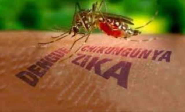 Diskes Riau Himbau Masyarakat Waspada Terhada Penularan Virus Zika