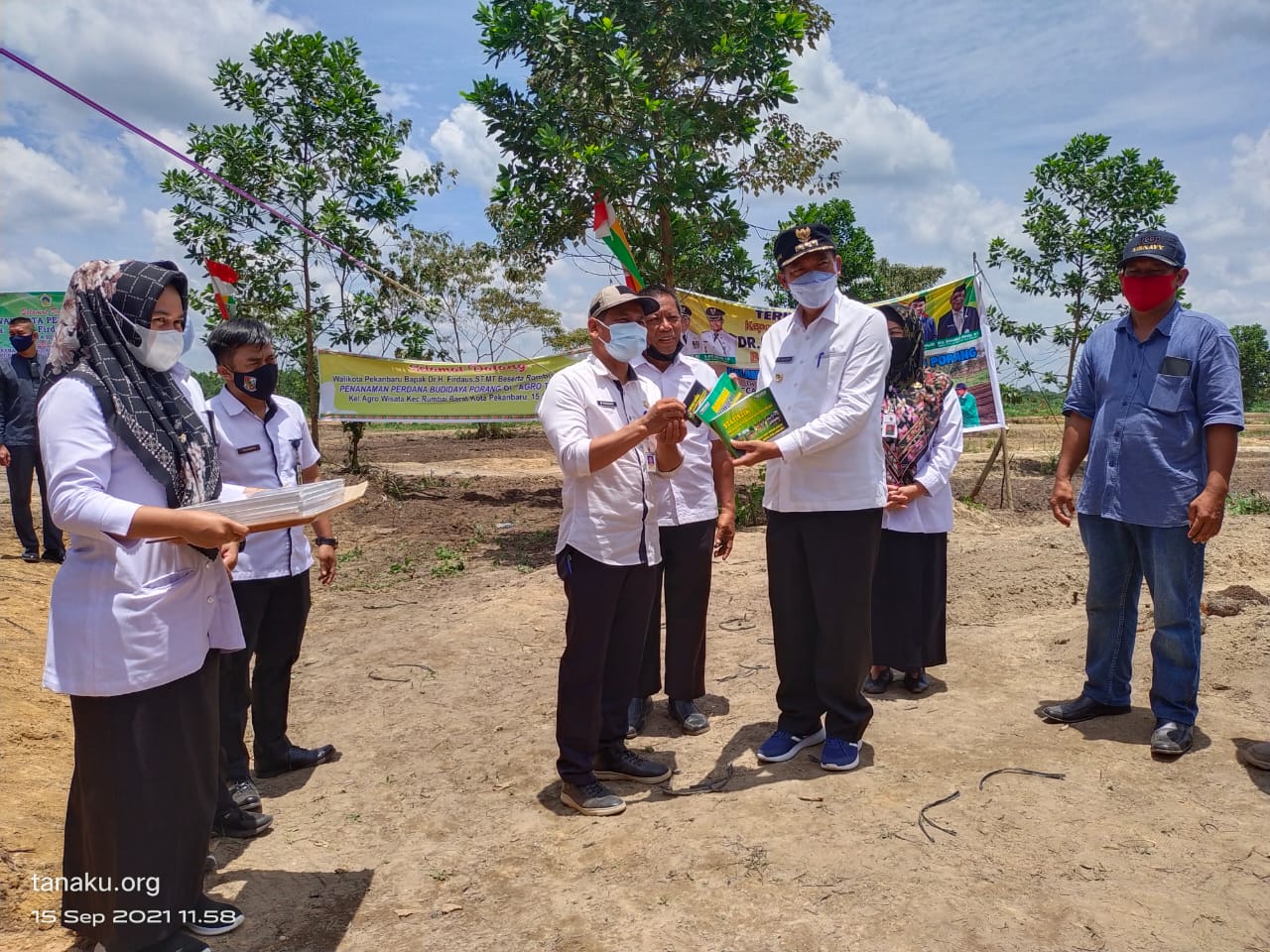 Walikota Pekanbaru Tanam Bibit Porang di Kelurahan Agrowisata Rumbai Barat