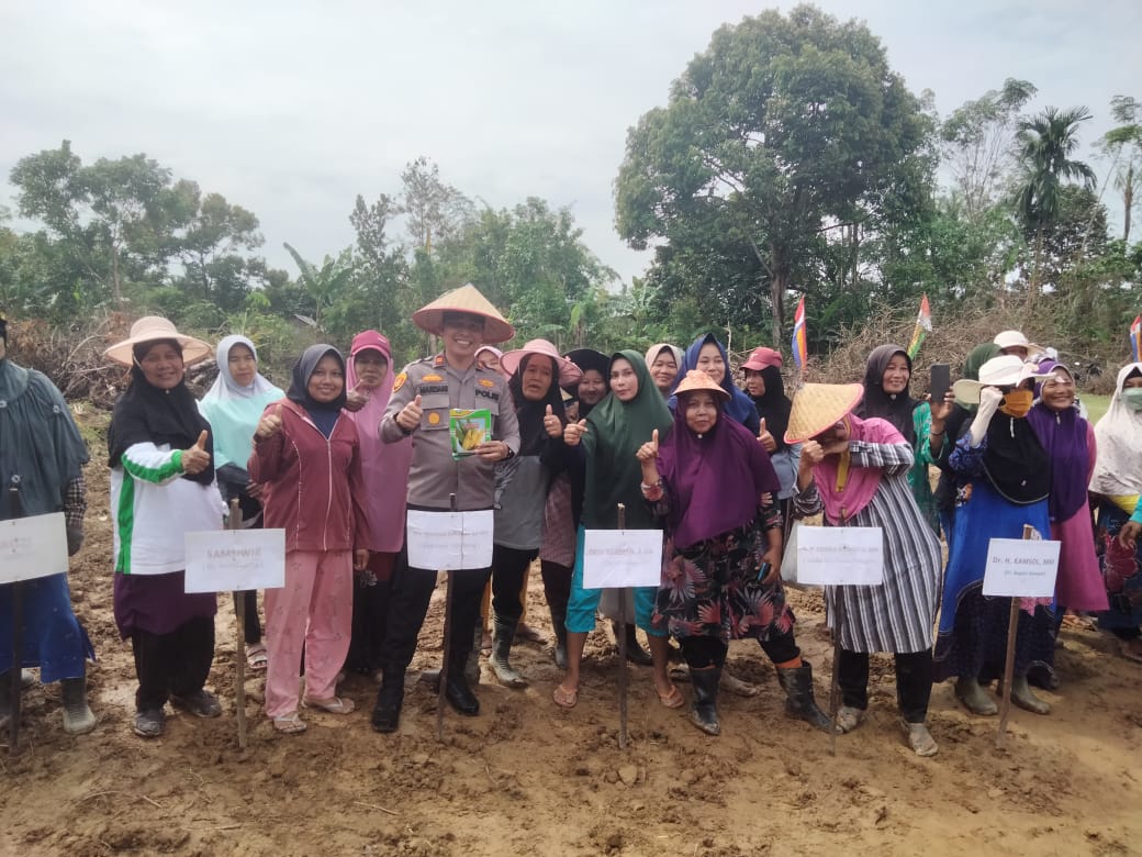 Kapolsek Tambang Hadiri Kegiatan Penanaman Benih Jagung di Pulau Birandang