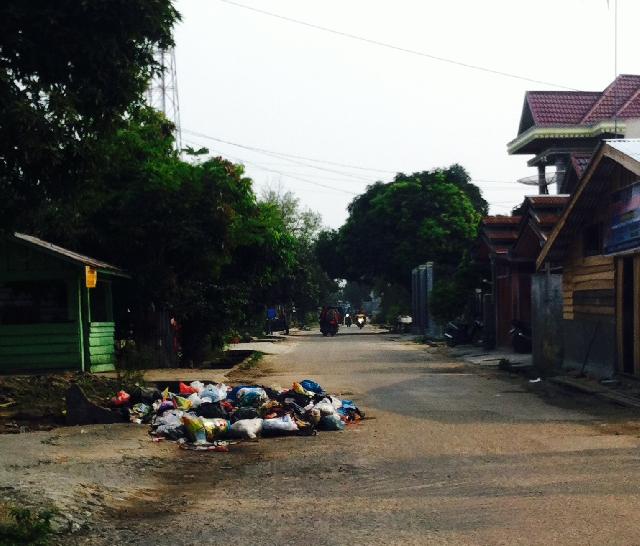 Dinas Tata Kota Pelalawan Lamban Menangani Sampah Di Pangkalan Kerinci
