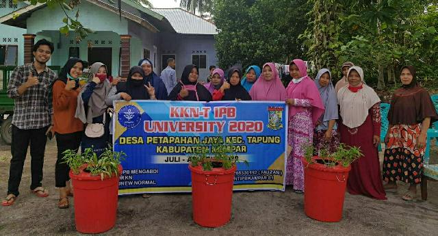 Luar Biasa, Mahasiswa KKN-T IPB Bogor Budikdamber Sebagai Ketahanan Pangan Dimasa Pandemi Covid-19