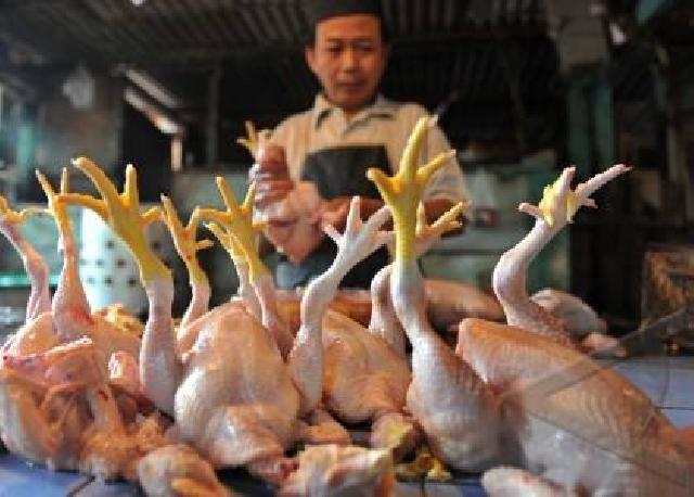 Di Inhu Harga Ayam Potong Melonjak, Pedagang Mengeluh Omset Anjlok