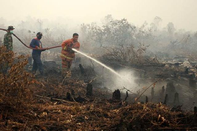 Hari Ini Satelit Modis Lapan Mencatat 32 Titik Api di Riau