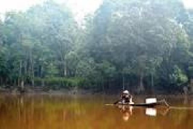 Danau Tajwid Pelalawan Dikembangkan Sebagai Wisata Alam  
