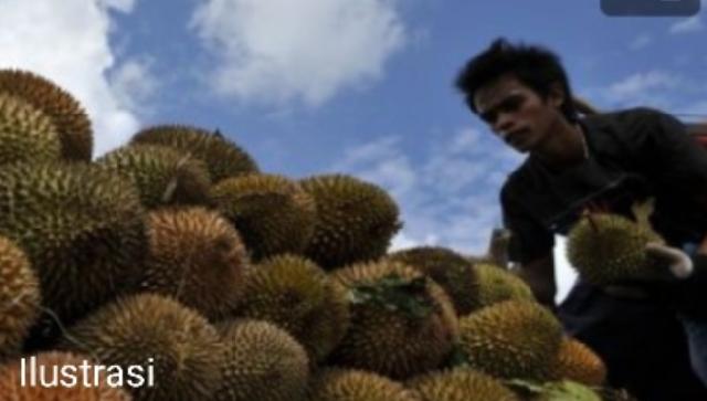 Cerita Anggota Kopassus Jualan Durian Selama Satu Tahun Demi Tugas Khusus