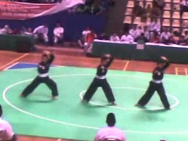 Atlet Silat dan Taekwondo Porprov Riau Cidera