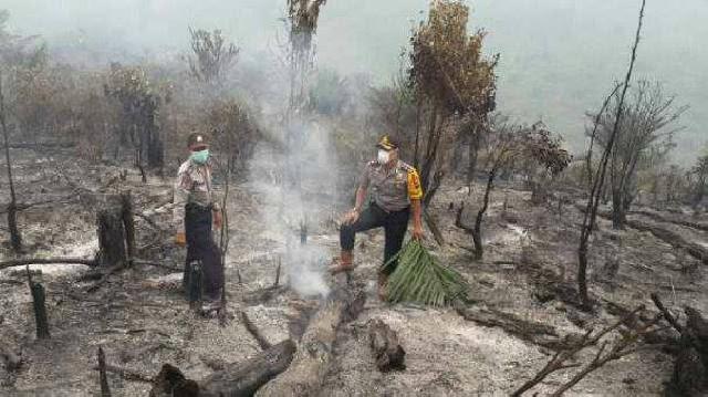 Kapolres Kuansing  Turun Langsung Kesejumlah Titik Lokasi Kebakaran Hutan dan Lahan