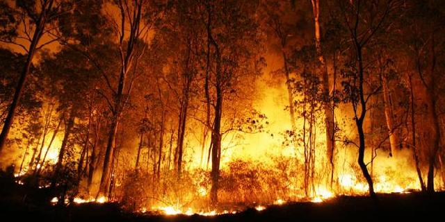 Kebakaran Lahan di Meranti Sepanjang 2015 Capai 616,4 Hektar
