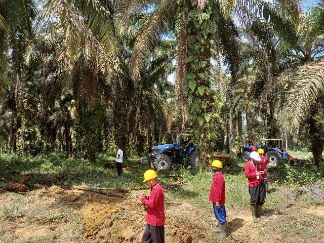 Petani Sawit Siap Sukseskan PSR di Kuansing, Siap Laporkan pada Presiden Jika Ada Kendala