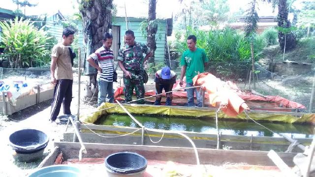 Anggota Koramil Pwk Slensen Melaksanakan Penyuluhan Cara Pembibitan Ikan Lele