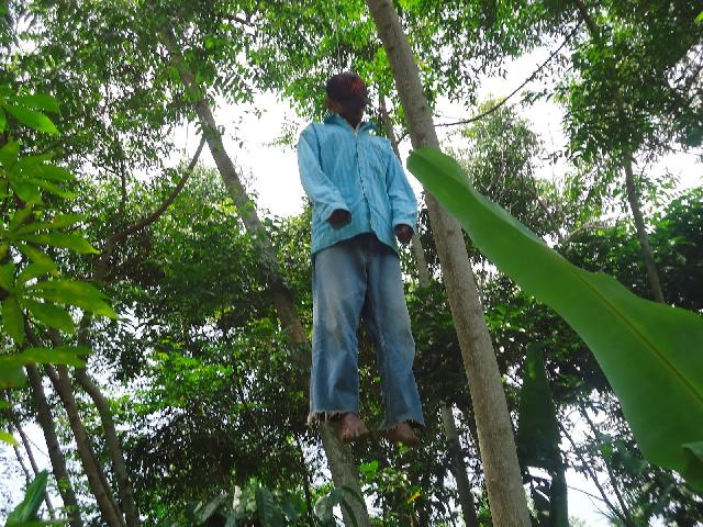 Pria di Inhil Ditemukan Tewas Gantung Diri di Pohon Kelapa
