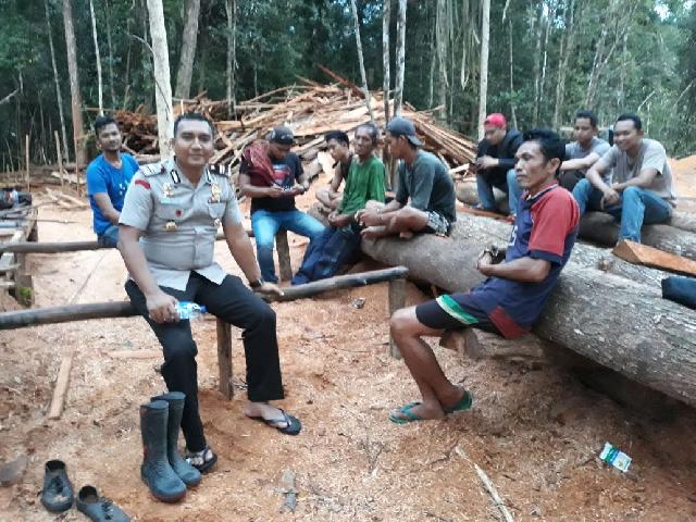Kapolsek Merbau Masuk Hutan, Pelaku Ilegal Logging ditangkap