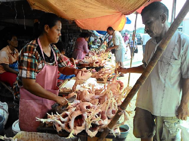 Harga Ayam Potong di Bagansiapiapi Tembus 30.000/Kg