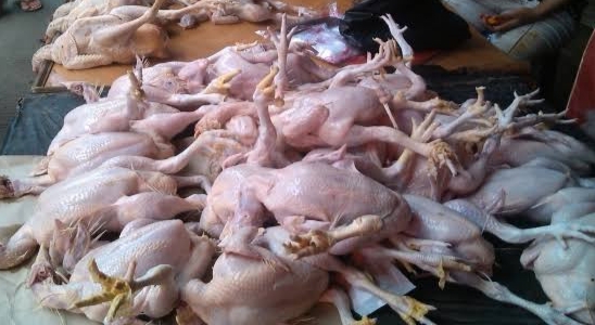 Harga Ayam Potong di Pekanbaru Terjun Bebas