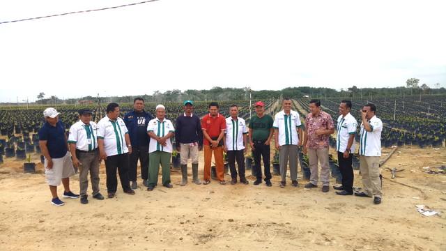Ada Potensi Besar Pertanian dan Peternakan di Kuansing, Seknas BUMP Indonesia:Harus Dikelola