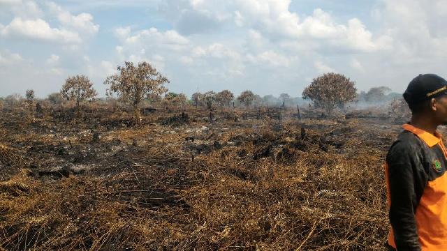 Lahan Perkebunan Seluas 10 Ha Terbakar di Inhu