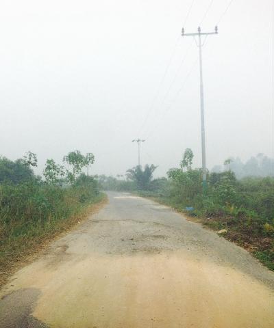 Kondisi Jalan Menuju Desa Sering Pelalawan  Sangat Memprihatinkan