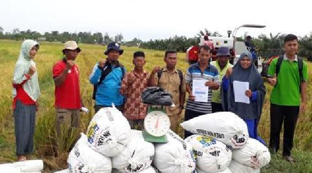 Petugas Penyuluh Pertanian Menanti Perpres Pak Jokowi