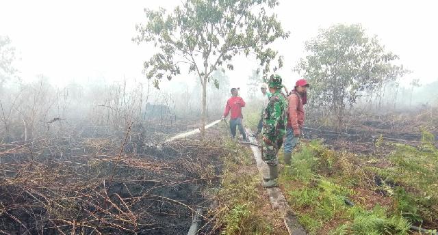 Lahan Perkebunan Dan Hutan Di Tebing Tinggi Timur Alami Kebakaran