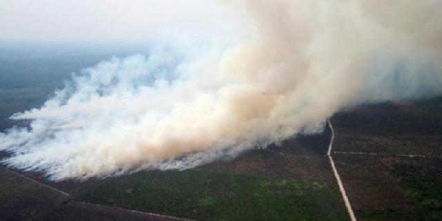 Kabut Asap Karhutla di Riau Sampai ke Malaysia