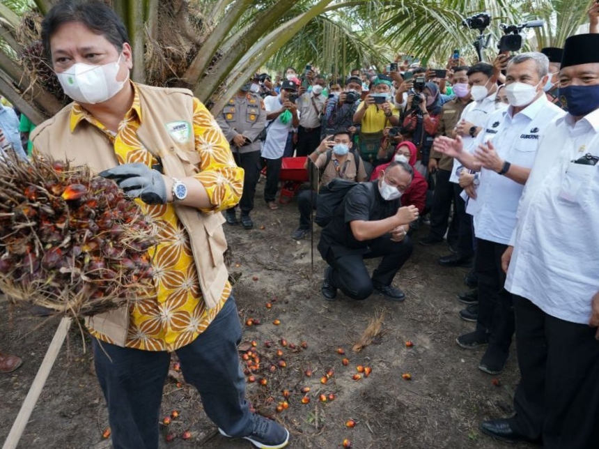 Airlangga: Sawit Komoditas Unggulan Nomor Satu Indonesia