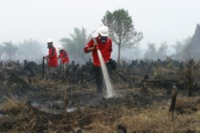 Lakukan Pemadaman Di Lokasi Kebakaran, Tim Fire RAPP Terus berjibaku