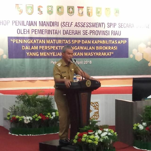 Wabup Meranti Said Hasyim Hadiri Workshop Self Assesment SPIP di Pekanbaru