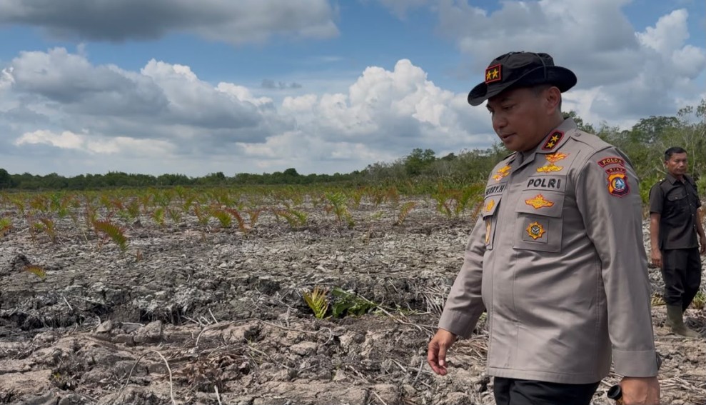 Kapolda Riau Turun Langsung ke Rohil Dua Kasus Perusakan Mangrove 118  Hektare Terbongkar, Dua Tersangka dan Dua Excavator Diamankan