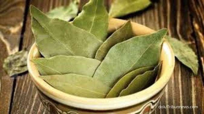 4 Manfaat daun salam, cocok untuk penderita diabetes