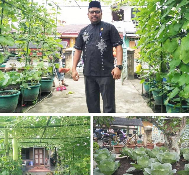 Jufri Pegawai Pemkab Meranti Sulap Halaman Rumah Menjadi Kebun Aneka Buah dan Sayuran