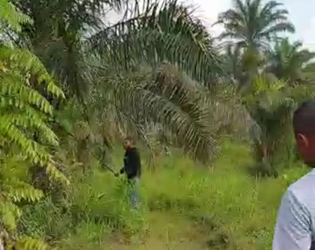 Diduga Menyerobot Lahan Sawit  Pengacara GR Buat LP Ke Polda Riau