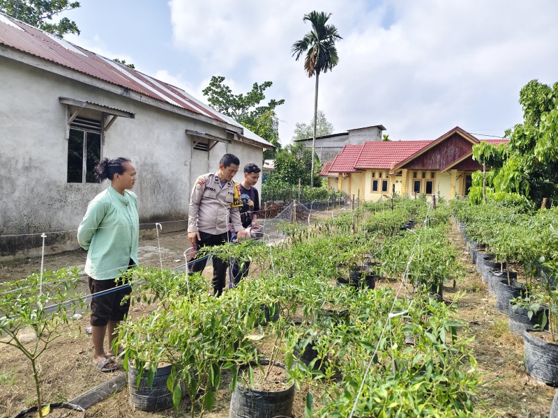 Polsek Tempuling Laksanakan Pengecekan Ketahanan Pangan, Dukung Program Swasembada Pangan Polda Riau
