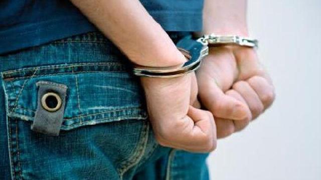 Sembilan Pelaku Pencuri Sawit di Inhu Diamankan Polisi
