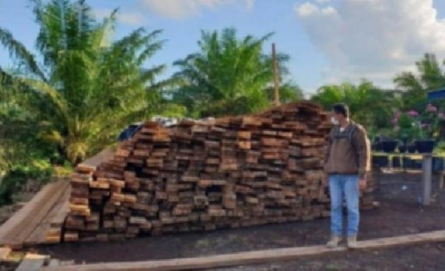 Polres Dumai Ungkap Ilegal Loging di Lima Lokasi Penumpukan