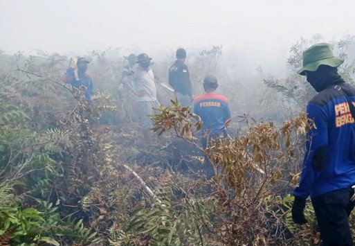 2 Hektare Lahan Gambut Terbakar di Pulau Rupat