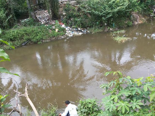   Plt Camat Ujungbatu Akan Laksanakan Normalisasi Pada Sungai