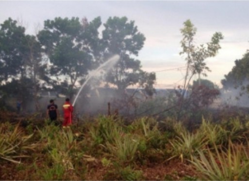 Riau Dapat Bantuan Helikopter Water Bombing dan Pesawat TMC untuk Penanganan Karhutla
