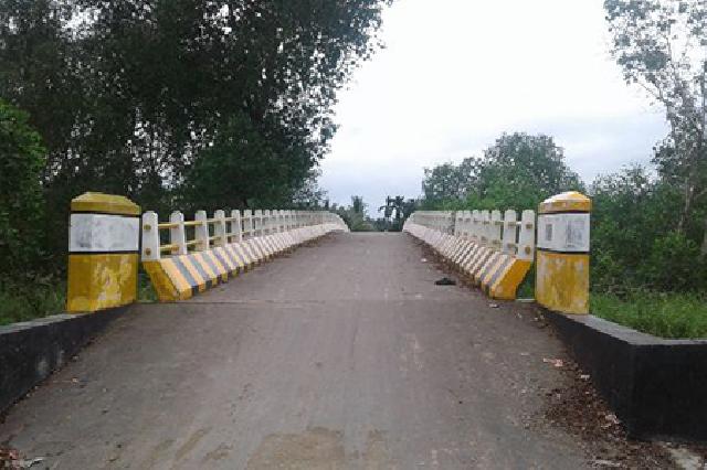 Berkat DMIJ, Desa Sungai Raya Miliki Jembatan Penghubung ke Tembilahan