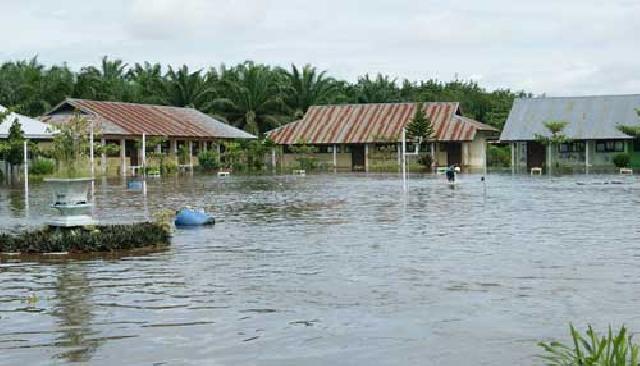 Sekolah Rawan Banjir Di Pelalwan Diperbolehkan Memulai Ujian