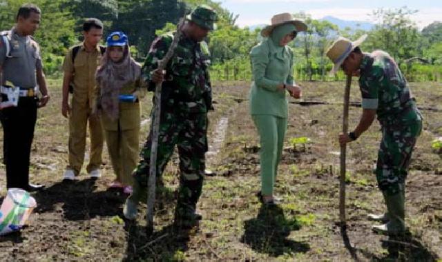 TNI di Inhu Dapat Pelatihan Jadi Pendamping Pertanian