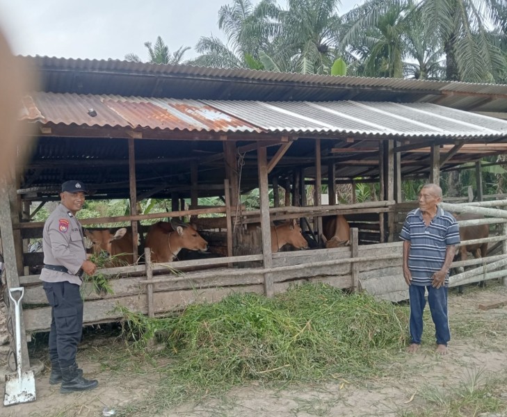 Polisi Cinta Petani, Bhabinkamtibmas Harapan Tani sambang dan monitoring Peternak Sapi Warga
